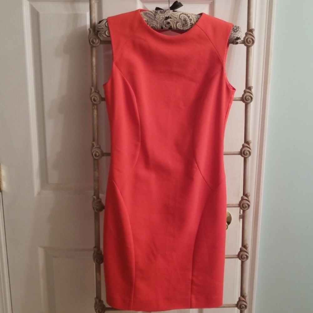 NWOT Zara Coral Open Back Dress